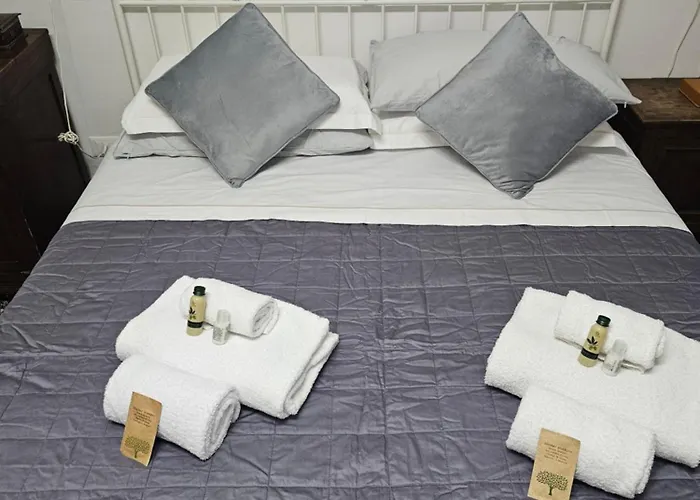 公寓 Signoria 佛罗伦萨